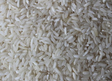 PR 106 raw rice