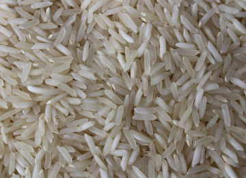 PR 11 Raw rice