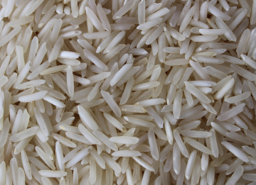 sugandha steam rice
